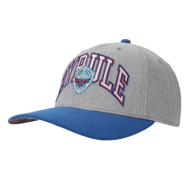 Hyrule Snapback Hat
